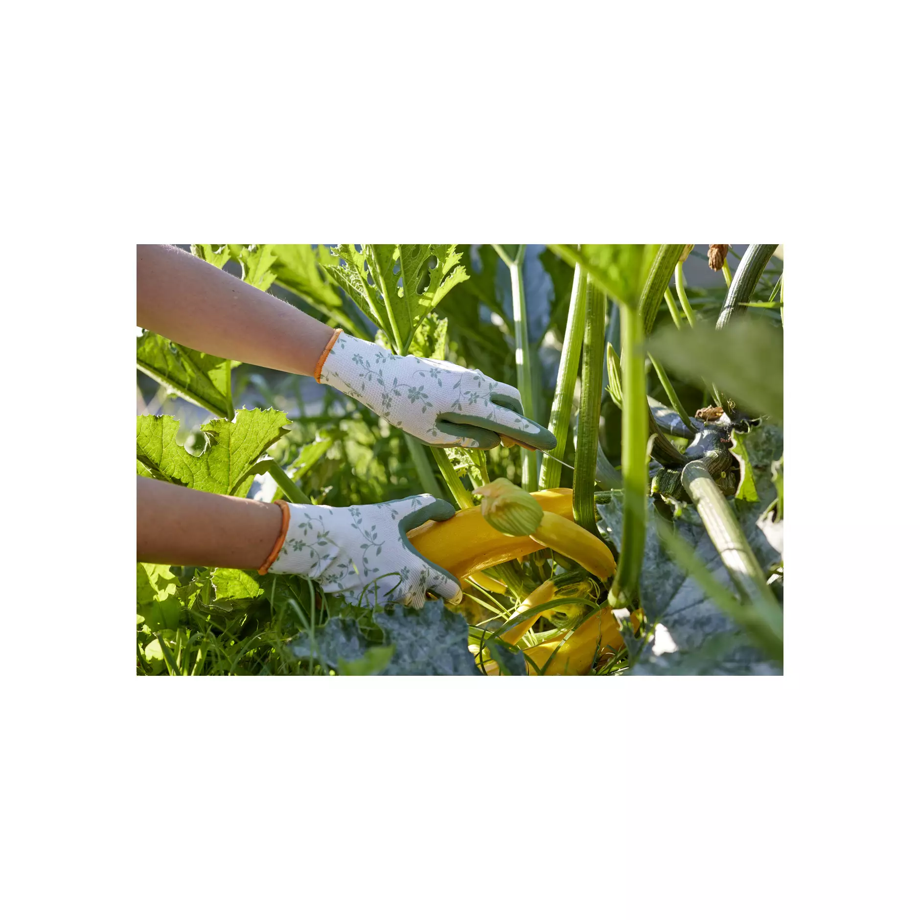 709807_Flower Duo_grün (1)