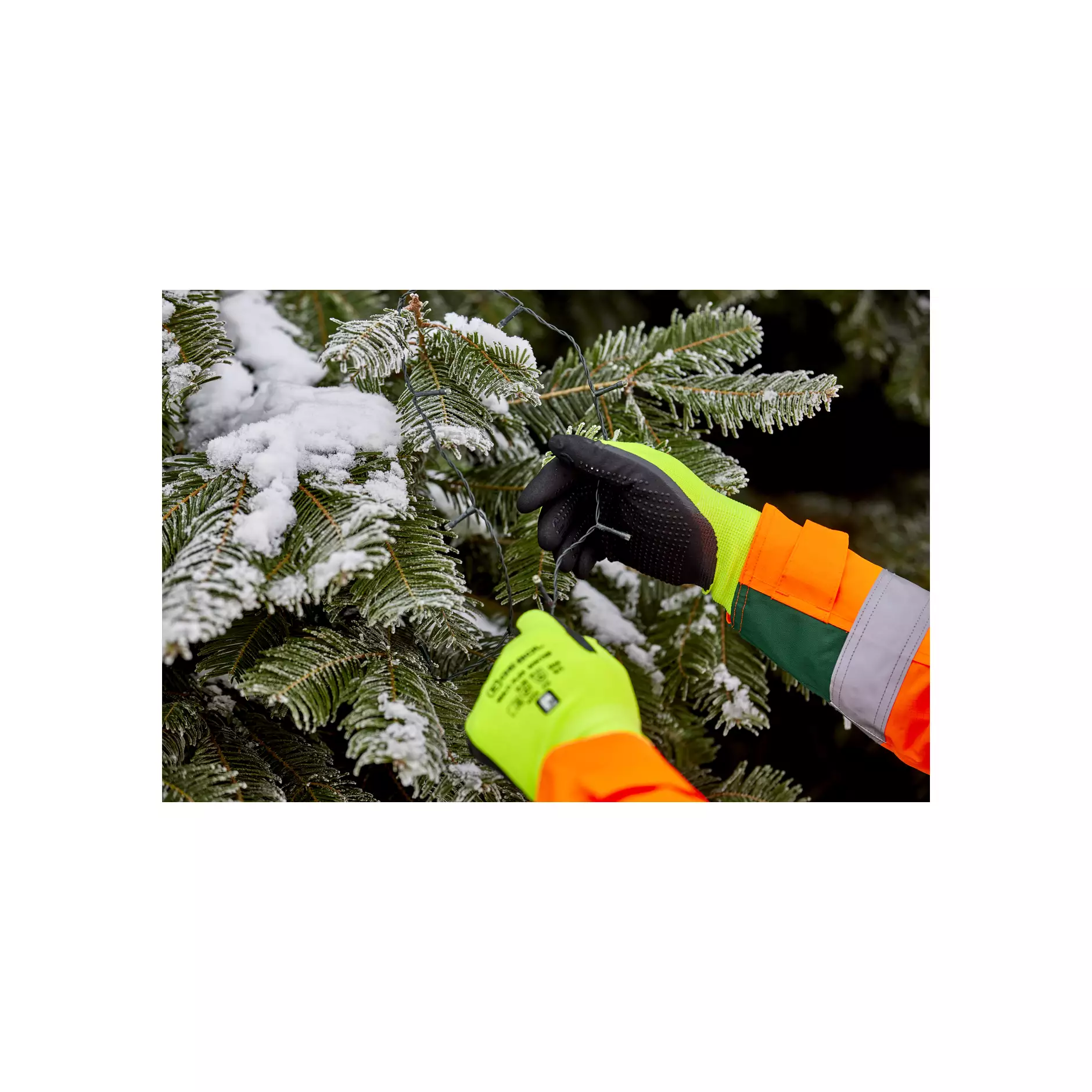 709596-98_Multi Flex Winter (4)