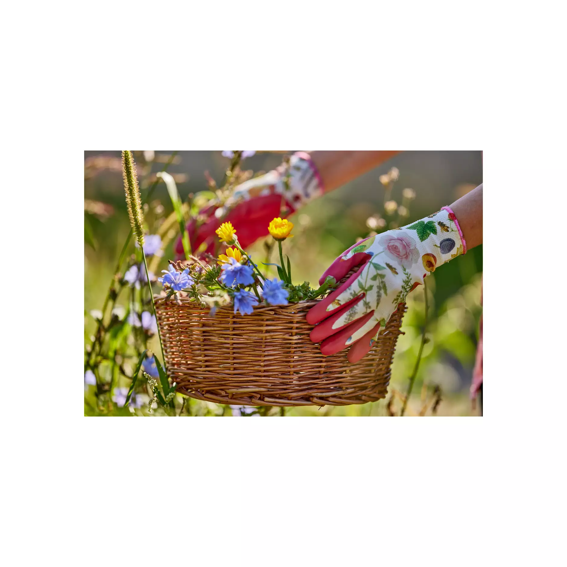 779808_Gardeluxe Flower&Fruit (12)@0,75x