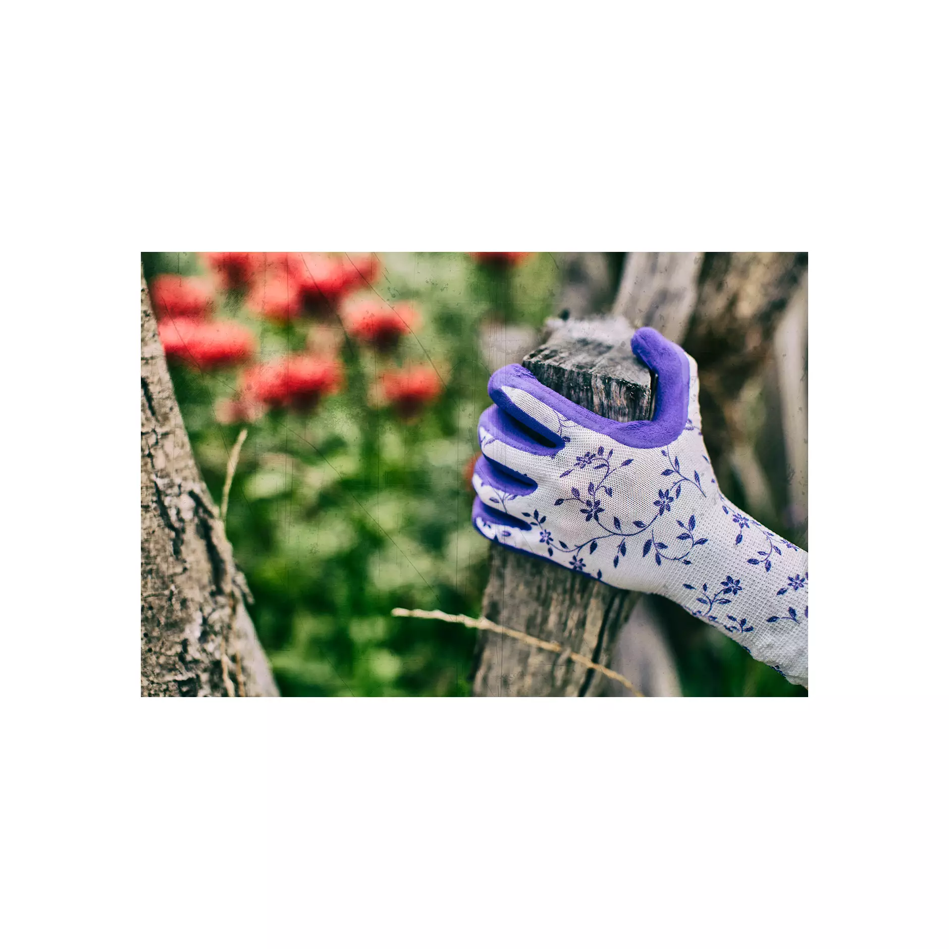 709799-709801_Flower Lila (1)@0,75x