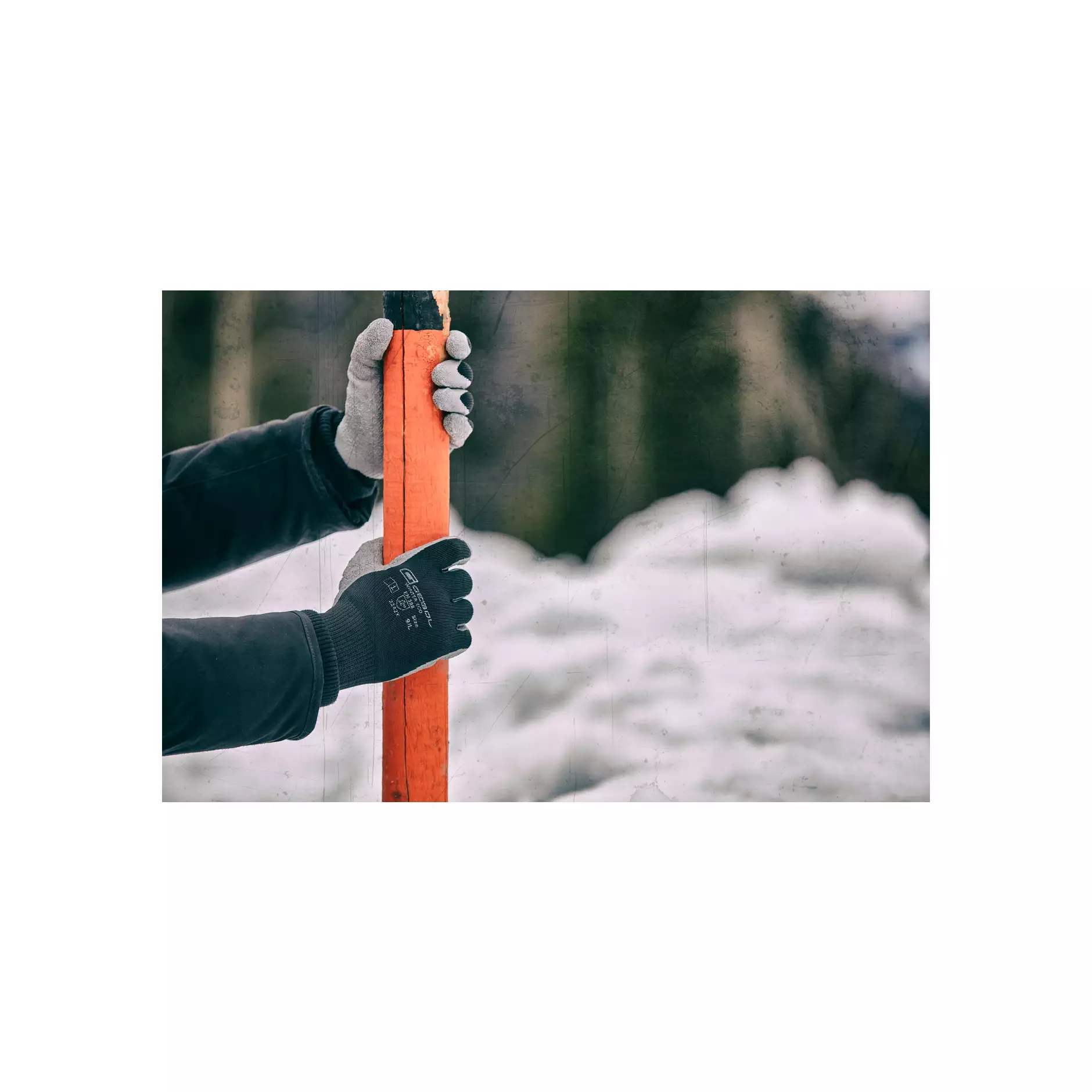 709589-90_Winter Eco (3)@0,75x