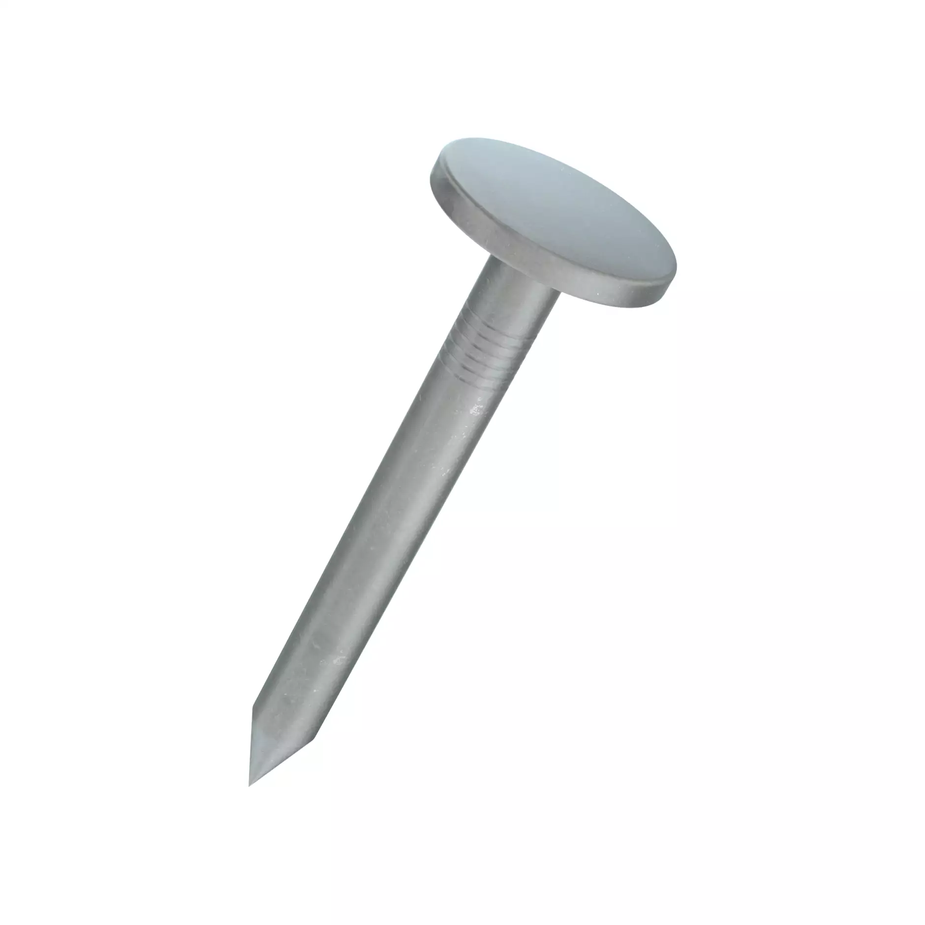 SNW Pointes pour carton bitum� znf