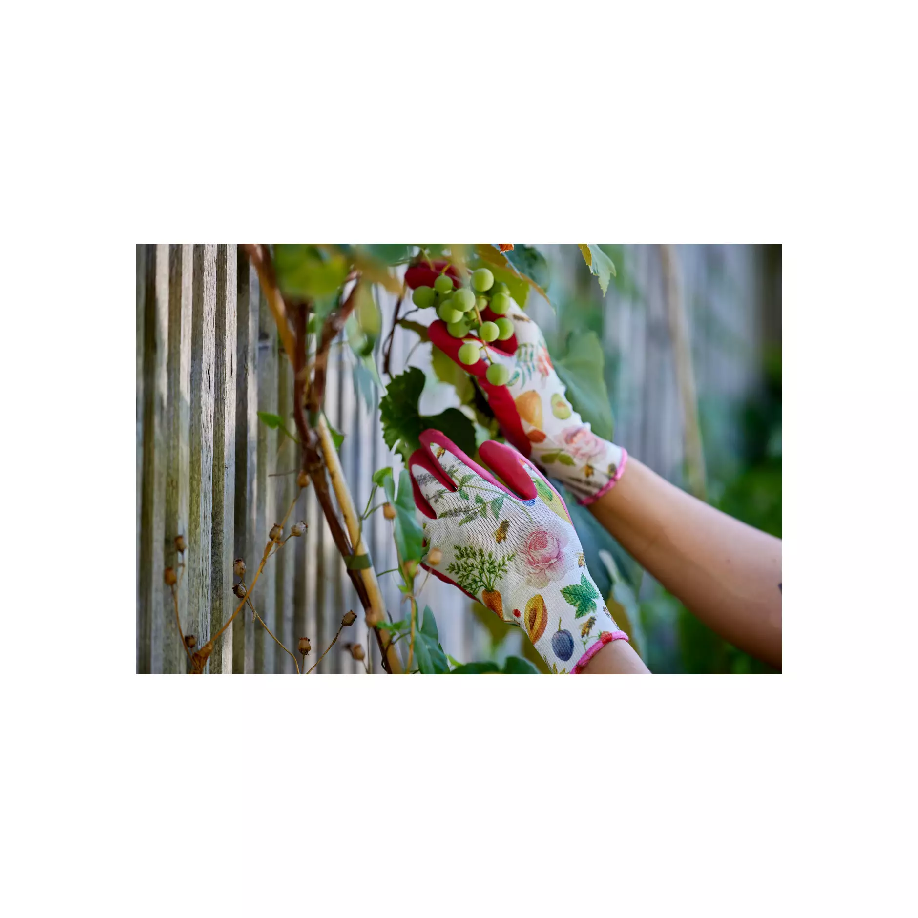 779808_Gardeluxe Flower&Fruit (8)@0,75x