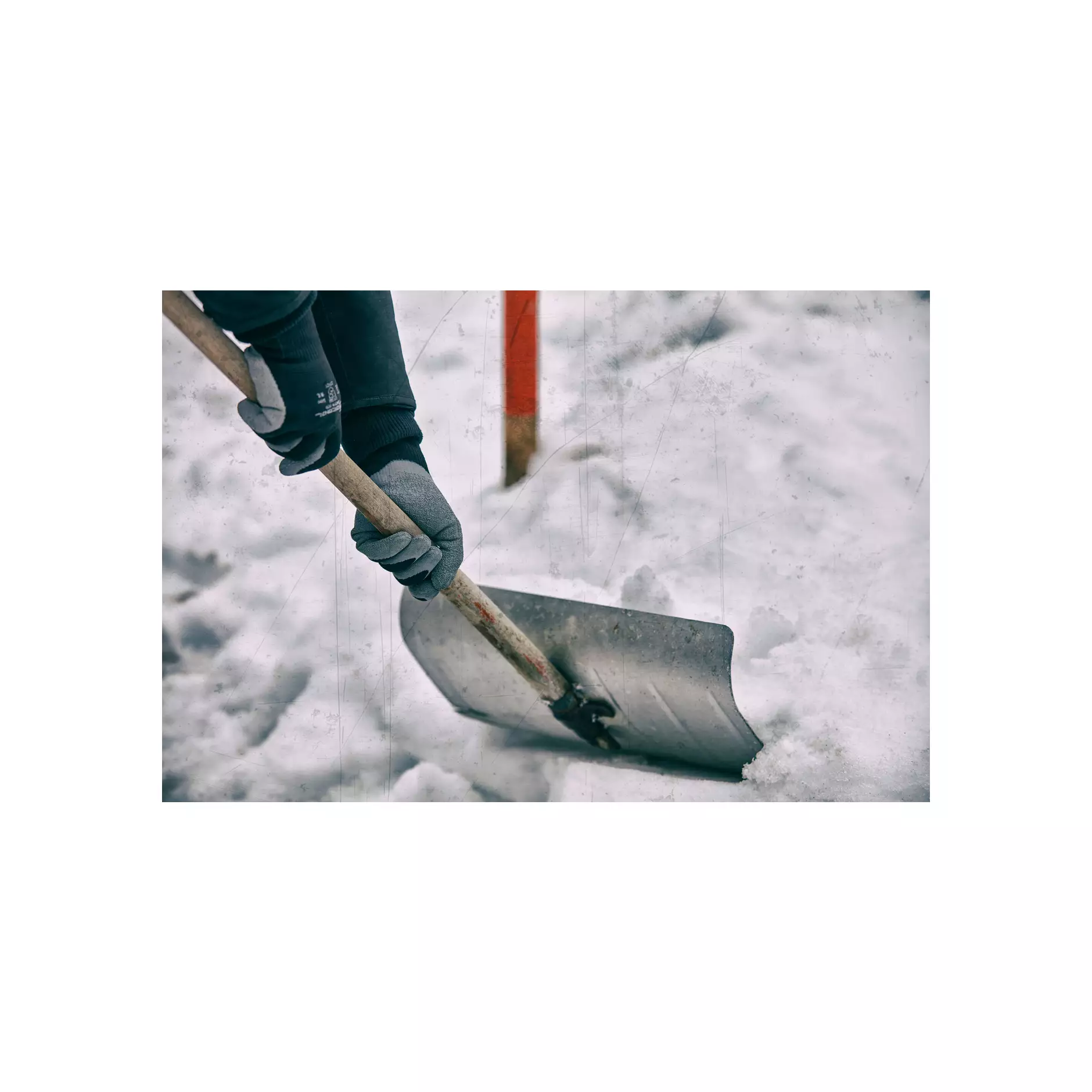 709589-90_Winter Eco (4)@0,75x